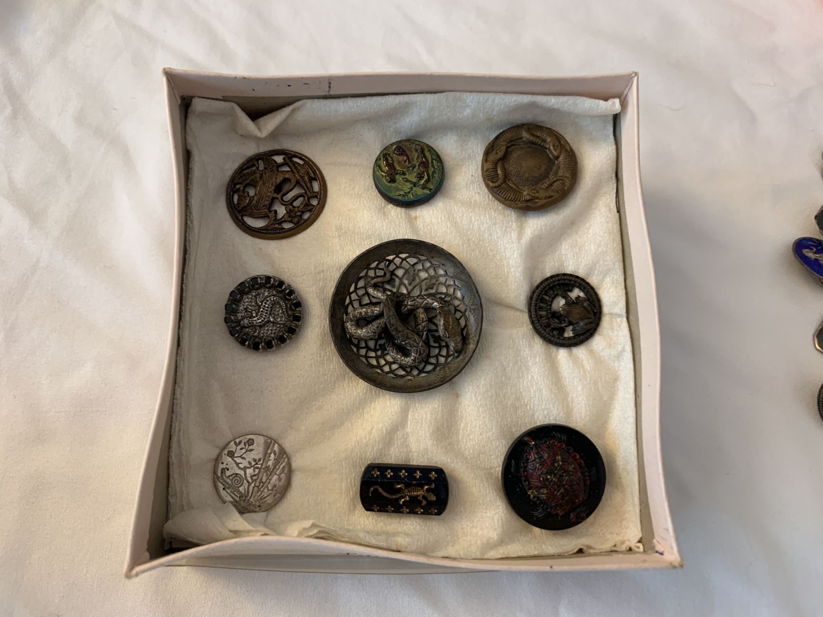 A prized button collection
